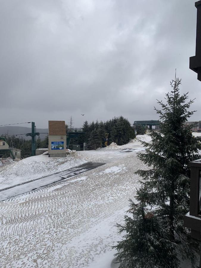 Highland House 207 Slopeside, Village Area, Ski In Out 스노우슈 외부 사진