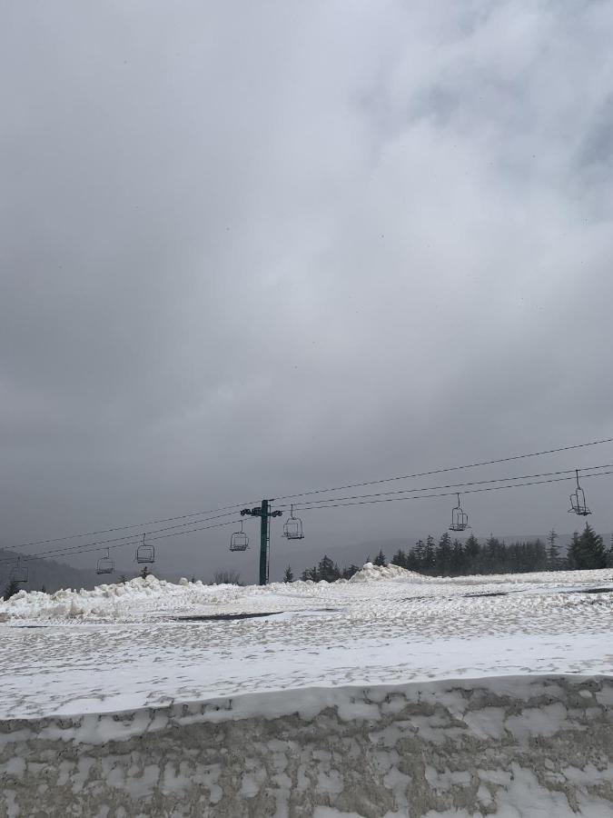 Highland House 207 Slopeside, Village Area, Ski In Out 스노우슈 외부 사진